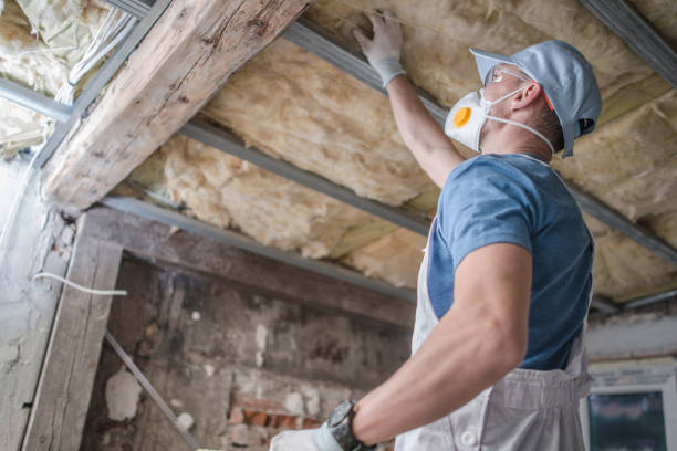 Best Insulation Maintenance and Repair in Cambria, IL