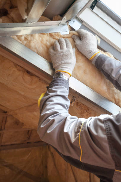 Professional Insulation Contractor in Cambria, IL