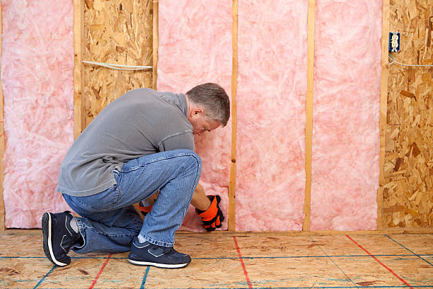 Best Cellulose Insulation in Cambria, IL