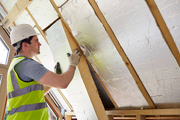 Best Geographic-Specific Insulation Services in Cambria, IL