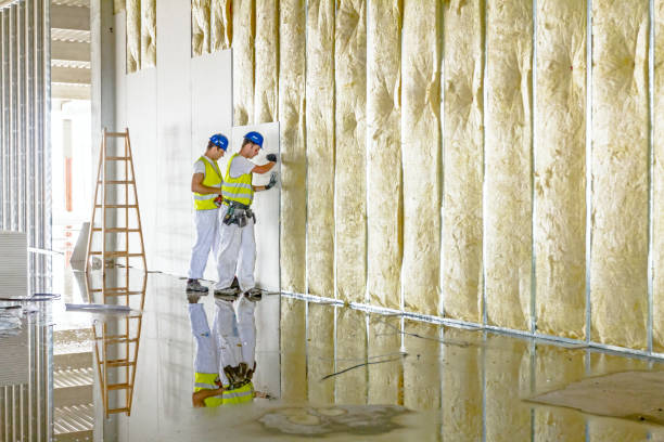 Best Energy Efficiency Insulation in Cambria, IL
